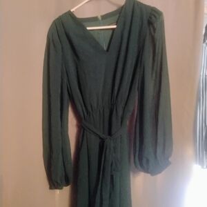 Ann Taylor Forest Green Long Sleeve Dress